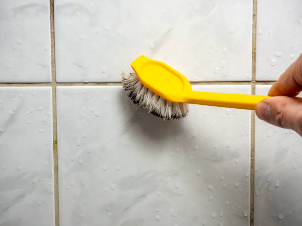 Best Emergency Mold Removal  in St Paul, TX