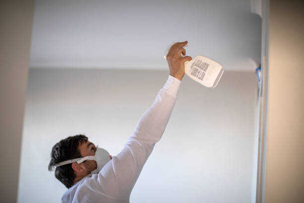 Best Commercial Mold Removal  in St Paul, TX