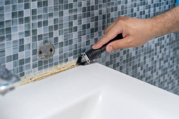 Trusted St Paul, TX Mold Removal Experts