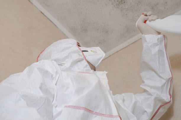 Best Mold Testing and Removal  in St Paul, TX